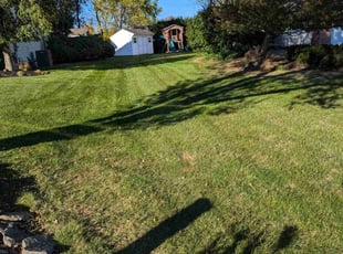 Chris L.'s Grass Cutting service result