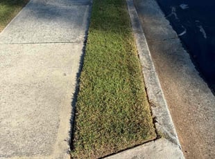 Thomas A.'s Lawn Maintenance service result