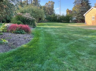 Mark C.'s Lawn Mowing service result