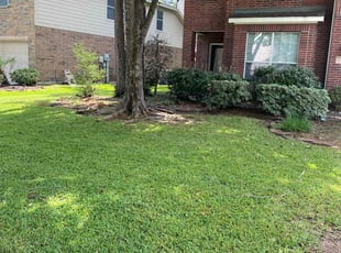 Creative V.'s Lawn Mowing service result