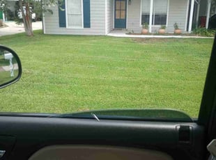 Judy M.'s Yard Cutting service result