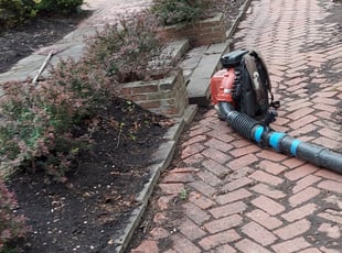 Cleanups by Alisha Lawson for Jeffrey C. in Columbus, OH