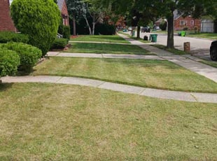 norvell C.'s Lawn Service service result