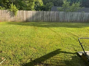 Fernando C.'s Lawn Maintenance service result