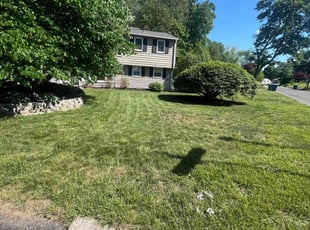 John m.'s Lawn Mowing service result