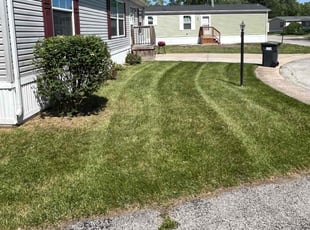 Joyce P.'s Lawn Mowing Service service result