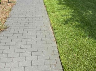 Carla L.'s Lawn Mowing service result