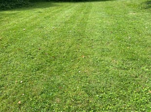Tracy G.'s Lawn Maintenance service result