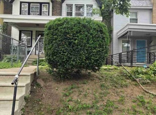 Bush Trimming by Randy Miller for Paris L. in Philadelphia, PA