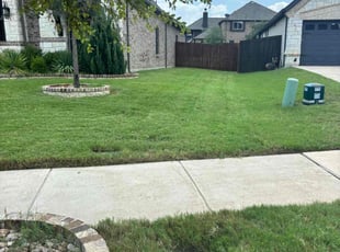 Beatrice B.'s Grass Cutting service result