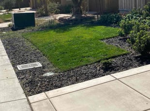 Randy M.'s Lawn Care service result