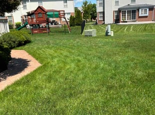 PATRICIA A.'s Lawn Care service result