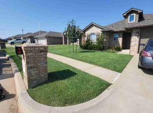 Tuan L.'s Lawn Care service result