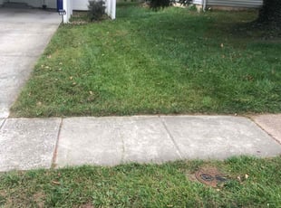 Hemlata A.'s Lawn Mowing service result