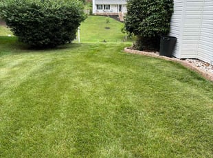 Valerie H.'s Lawn Service service result