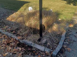 Bush Trimming by Joe Ziz for Suhani P. in Parma Heights, OH