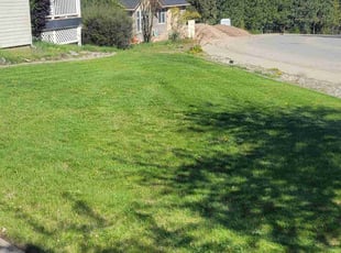 Carol P.'s Lawn Care service result