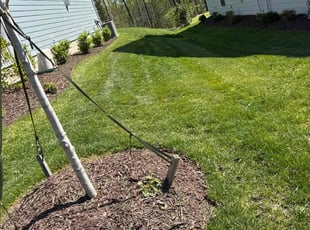 WILLIAM G.'s Lawn Mowing service result