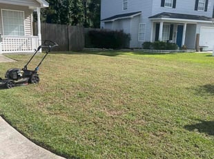 Pam H.'s Grass Cutting service result