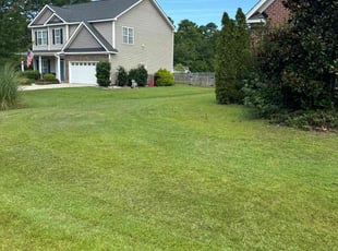 Rosita F.'s Lawn Service service result