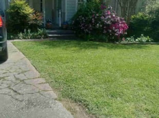 Chung K.'s Lawn Care service result