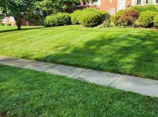 Courtney T.'s Lawn Mowing service result