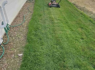 Regina B.'s Lawn Care service result