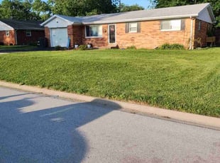 Melvin G.'s Lawn Mowing service result