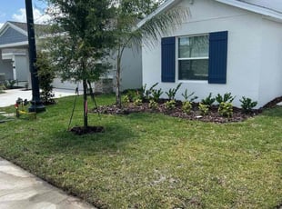 Amado E.'s Lawn Service service result