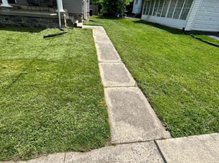 Ysel W.'s Lawn Mowing service result