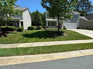 Logan S.'s Yard Cutting service result