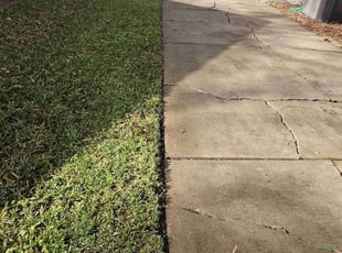 Michael D.'s Lawn Mowing Service service result
