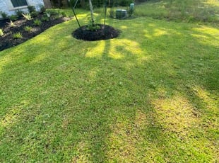 Israel P.'s Lawn Care service result