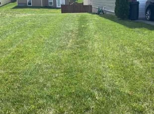 Andy W.'s Lawn Care service result