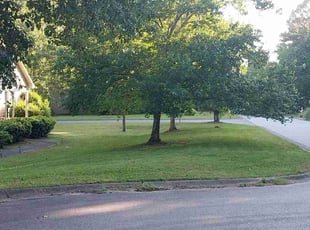 Nancy W.'s Yard Cutting service result