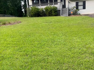 Rita K.'s Lawn Mowing service result