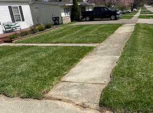 Ivernoner F.'s Lawn Care service result