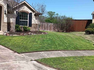 Rachel M.'s Lawn Mowing Service service result