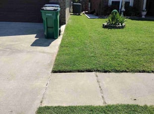 Michele A.'s Lawn Service service result