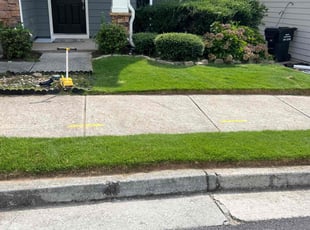 Esmie B.'s Lawn Mowing service result