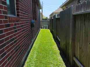 Juanita M.'s Lawn Mowing service result