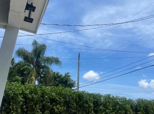 Bush Trimming by George Gomez. for Chris C. in Miami, FL