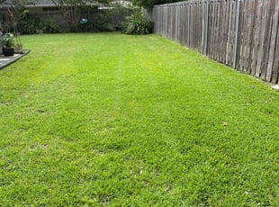 Fred P.'s Lawn Maintenance service result
