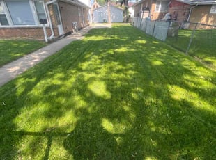 Mary K.'s Lawn Mowing service result