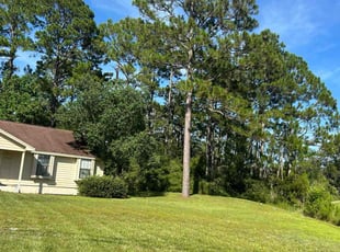 Tiesha J.'s Lawn Mowing service result
