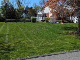 Archie A.'s Lawn Care service result