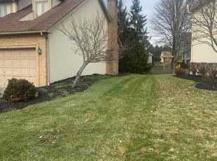 Leaf Removal by B.J. Schuetz for Charles H. in Westerville, OH