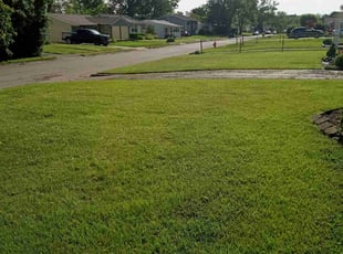 Matthew W.'s Yard Cutting service result
