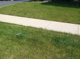 Julian B.'s Lawn Mowing Service service result