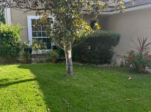 Traci B.'s Yard Cutting service result